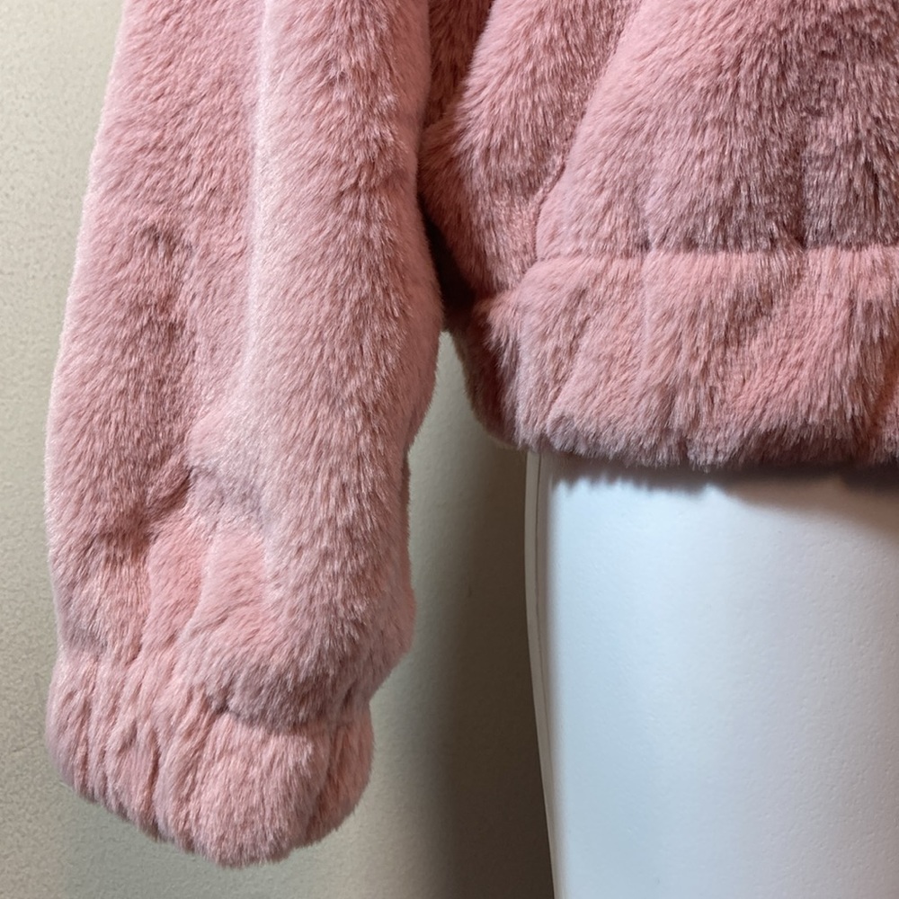 NWTđź’™ Express Super Soft Fuzzy Hoodie - Picture 6 of 14